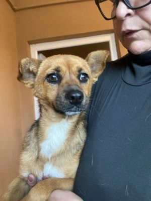 569988443 24984178694556055 479495982422322310 n