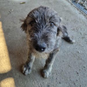 574833809 5112497095642026 1095432232847454774 n