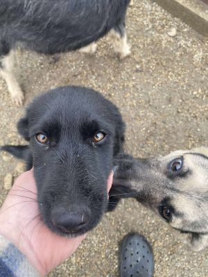 574861794 858067310209608 4985657731102825274 n