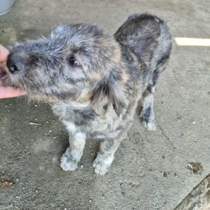 574983614 835564975670980 3975526743883788762 n