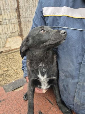 575088391 831371646054897 642177110945457840 n