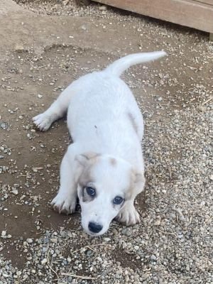 575098606 812347181410287 299407399822734384 n