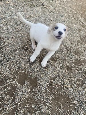 575123809 1157863172984472 6527518912614015426 n