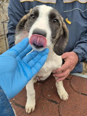 575360881 1991349615055543 8215476914497954475 n