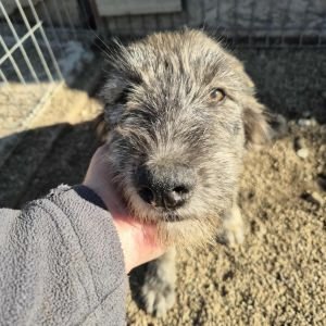 575370948 1923917408168289 470528585477164887 n