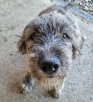 575494177 805369612125640 6680244533387231117 n