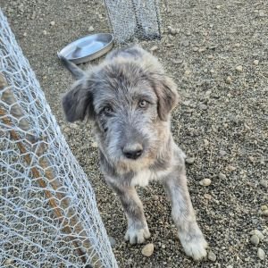 575666797 1388292706342420 4093718259659840750 n