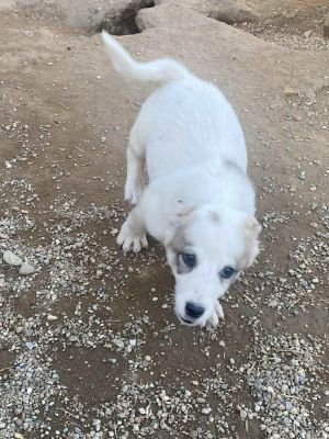 575666797 2277404349400589 7138147973415978193 n