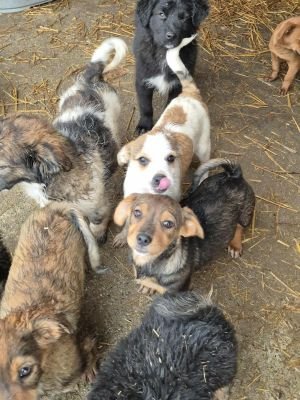 575696916 1396329985414764 5064135517496092973 n