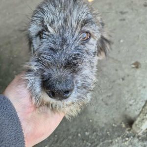 575718979 25319661001002942 8023172810112813344 n