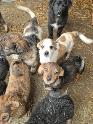 575848753 25038582159158818 5873415010190247508 n