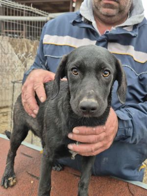 576078560 1392532845719682 8518564160247067701 n