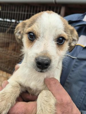 576082618 1718625182163434 7057210461932688592 n