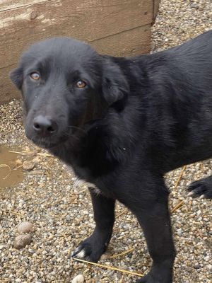 576195593 1190564992941330 2002732044786859588 n