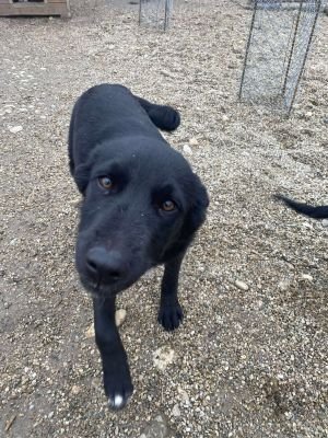 576463252 2015450189304902 6660604420304799560 n