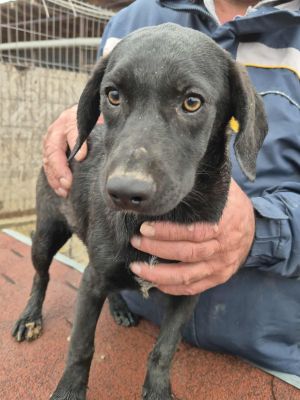 577011505 816159497865894 2879626017368202039 n