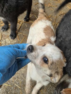 577607456 1490452605568875 5908371479210348720 n