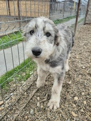 577903847 836404732304521 4751556145819653880 n