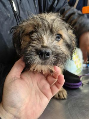 578681165 1175783840579309 4985011858509415532 n