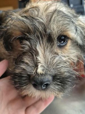 578785939 679153461662387 6304023851796661521 n