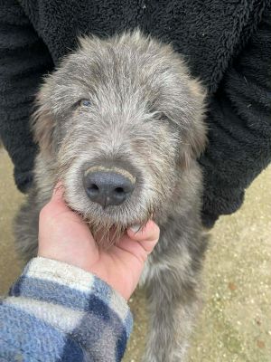 592900528 1882019786039594 5394291290461095030 n