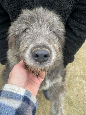 597145662 1537676017542401 5779963239665887199 n