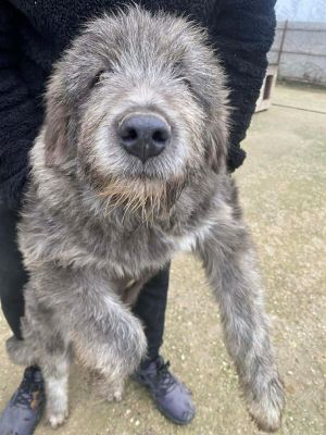 597877825 1240288881276958 8620104240615923019 n