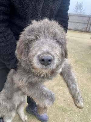 597901065 1894468688119196 5682838741549610472 n