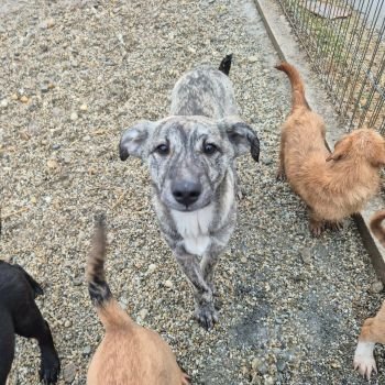 598147093 787787821015214 3502449941067117578 n