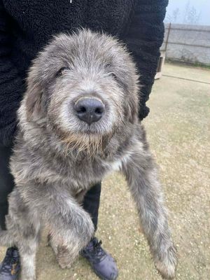 598676385 839103802322193 2403774390084723383 n