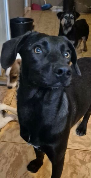 599324917 1977441699857738 3028091001785367933 n