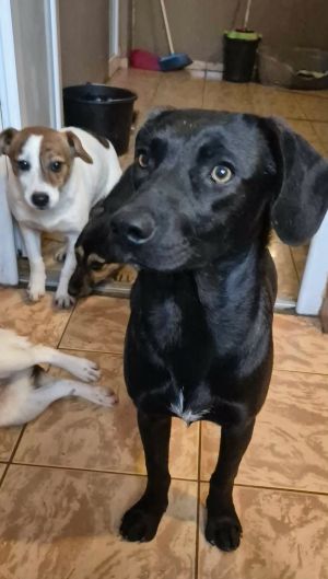 601404920 1421401542719584 8845050555727092791 n