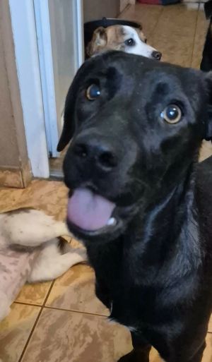 606498761 1555506026145223 4416214051220748781 n