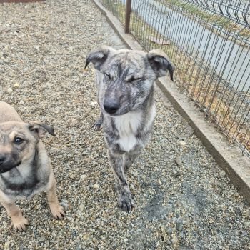 617961753 1946852952916231 7222120419087723540 n