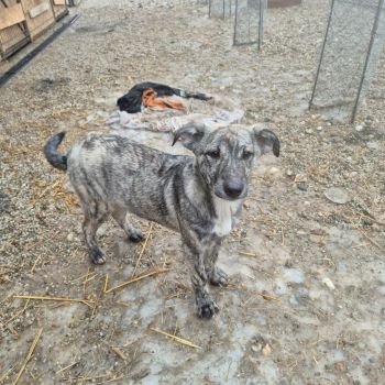 619904484 1284287946870312 45198349700878573 n