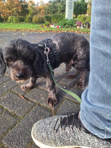 FB IMG 1763327211771 copy 382x510