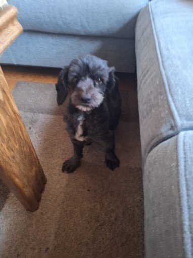 FB IMG 1763327214012 copy 382x510