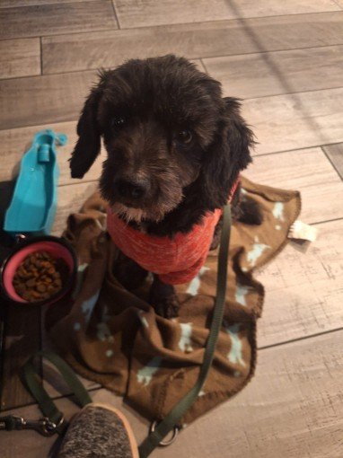 FB IMG 1763327219863 copy 382x510