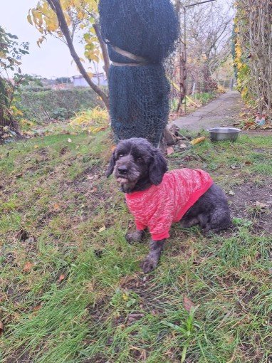 FB IMG 1763327225315 copy 382x510