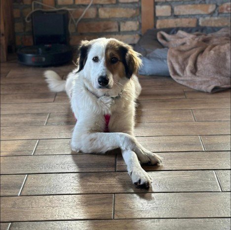 FB IMG 1763327614248 copy 468x466