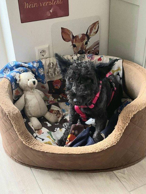 FB IMG 1763327658897 copy 480x640