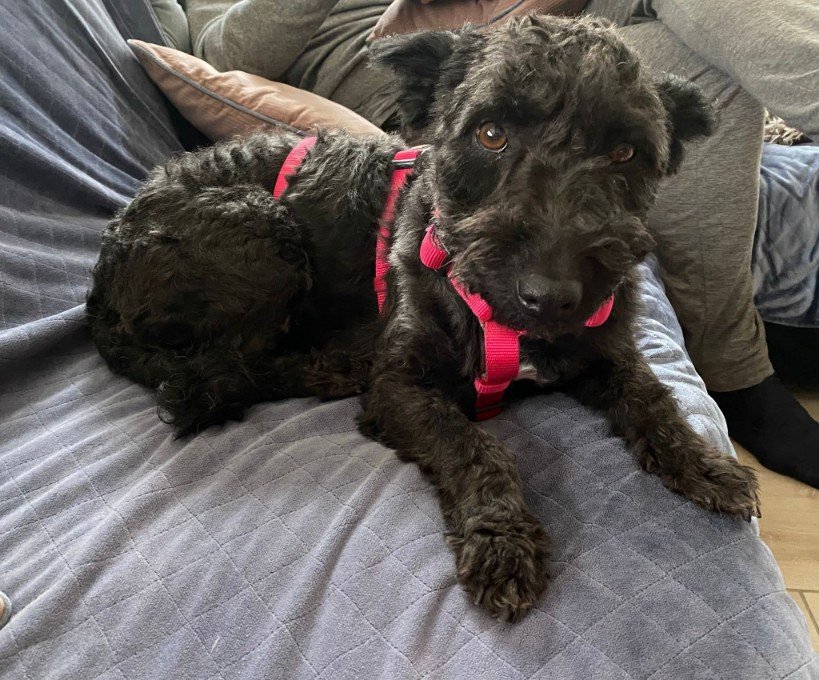 FB IMG 1763327672354 copy 819x680