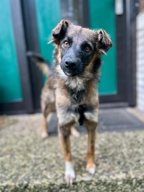 IMG 20251124 WA0181 copy 480x640