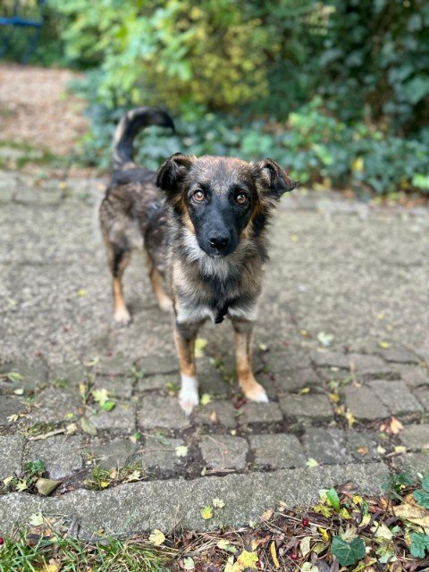 IMG 20251124 WA0182 copy 480x640