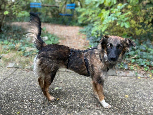 IMG 20251124 WA0185 copy 640x480