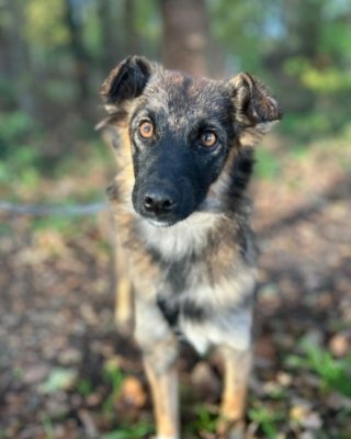 Sunny (BV) Sunny (BV)