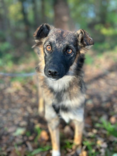 IMG 20251124 WA0186 copy 480x640