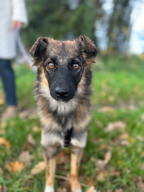 IMG 20251124 WA0194 copy 480x640