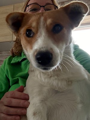 Img 2025 10 17 080553