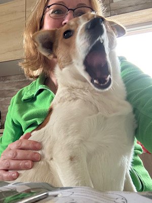 Img 2025 10 17 080632